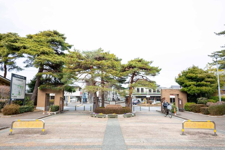 アカマツが植わる正門。