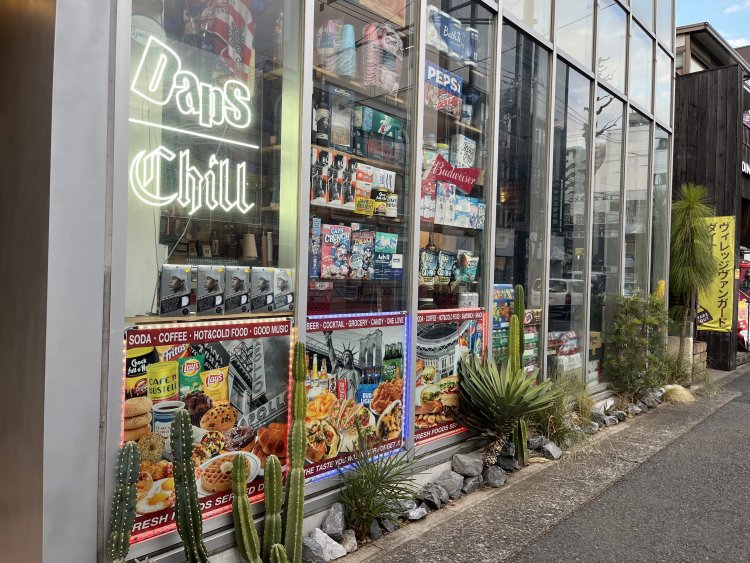 サボテンやソテツなどの植物が飾られ、ディスプレーも海外の雑貨店っぽい。