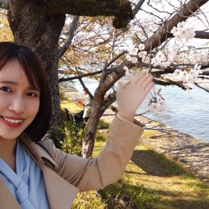 春の散歩は「5K」に注意！うららかなイメージとは裏腹な春の危険性とは？