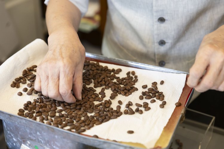 味を落とす欠点豆を丁寧に取り除く。