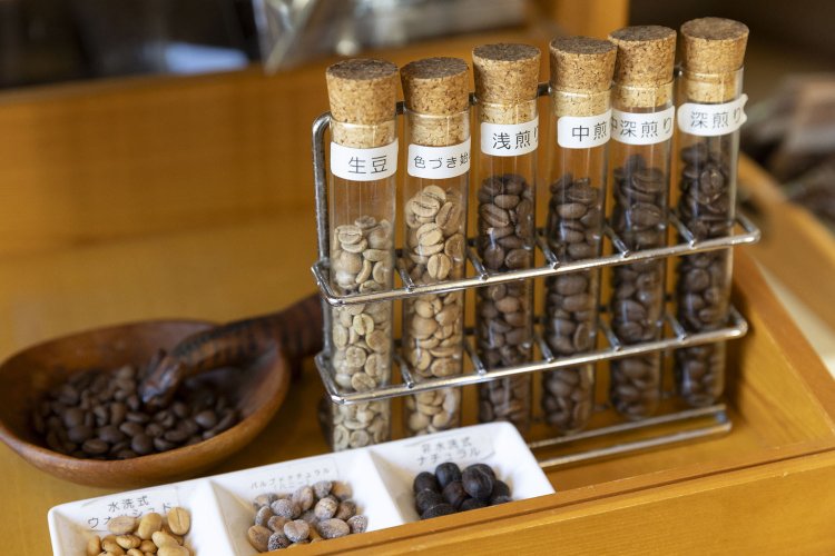 煎り具合や精選の違いを実物で展示。