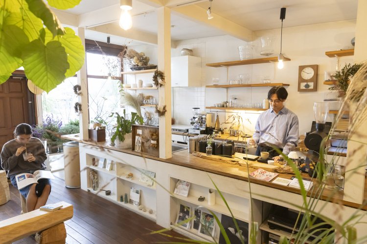 白壁と木の温もり、植物のグリーンが織りなすナチュラルな空間。