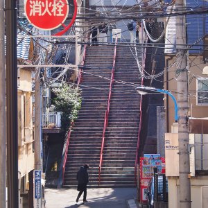 【東京街角クイズ】この写真、どこの階段でしょう？