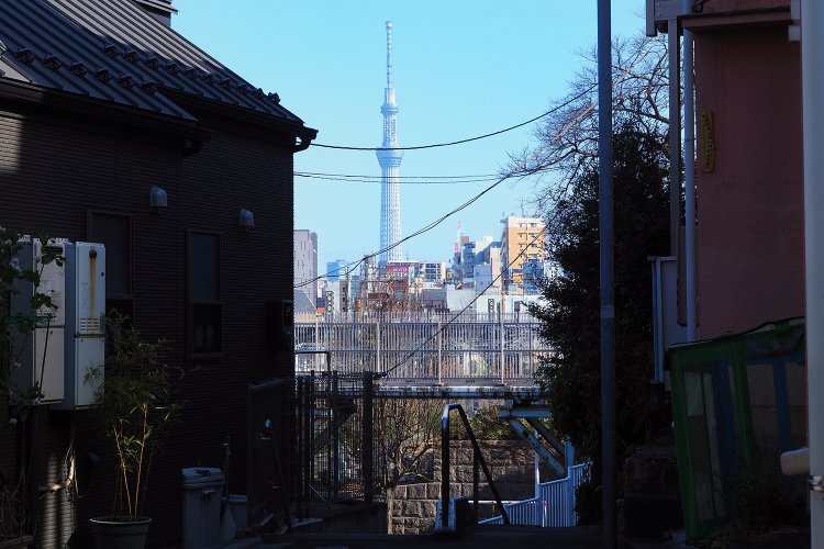 階段の上から見下ろしたところ。手前に芋坂児童遊園、奥に芋坂の跨線橋、その奥にスカイツリー。
