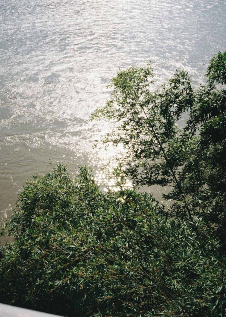 【camell】PENTAX17レビュー_17