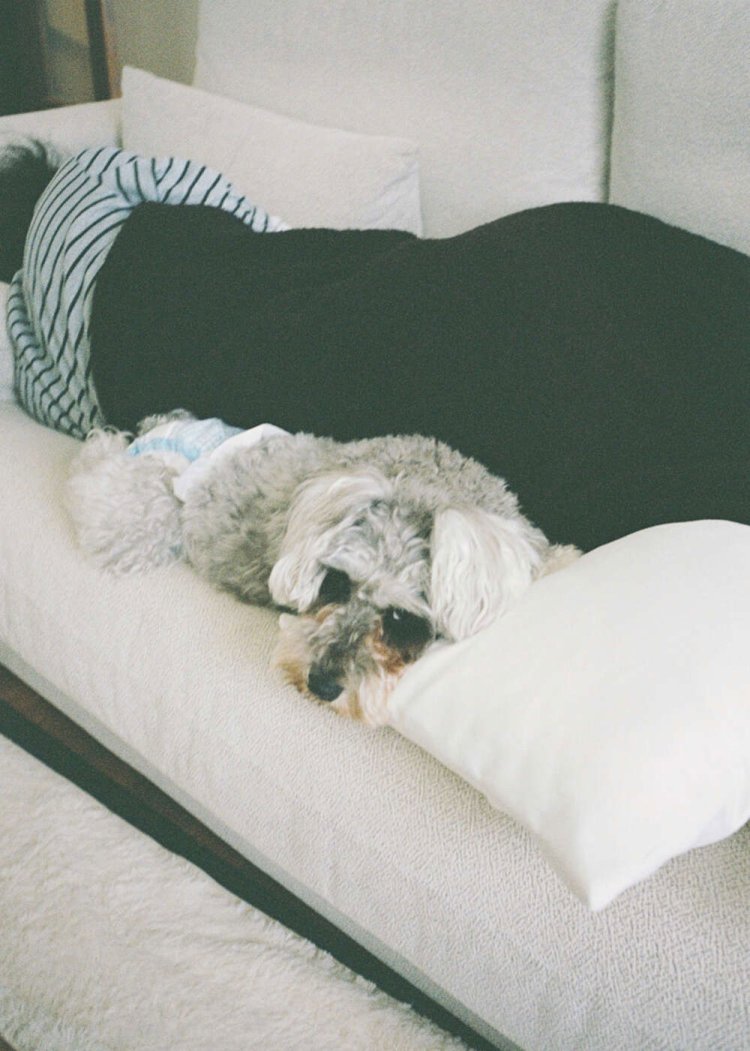 【camell】PENTAX17レビュー_20