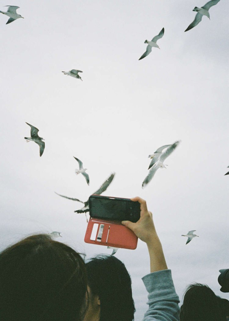 【camell】PENTAX17レビュー_22