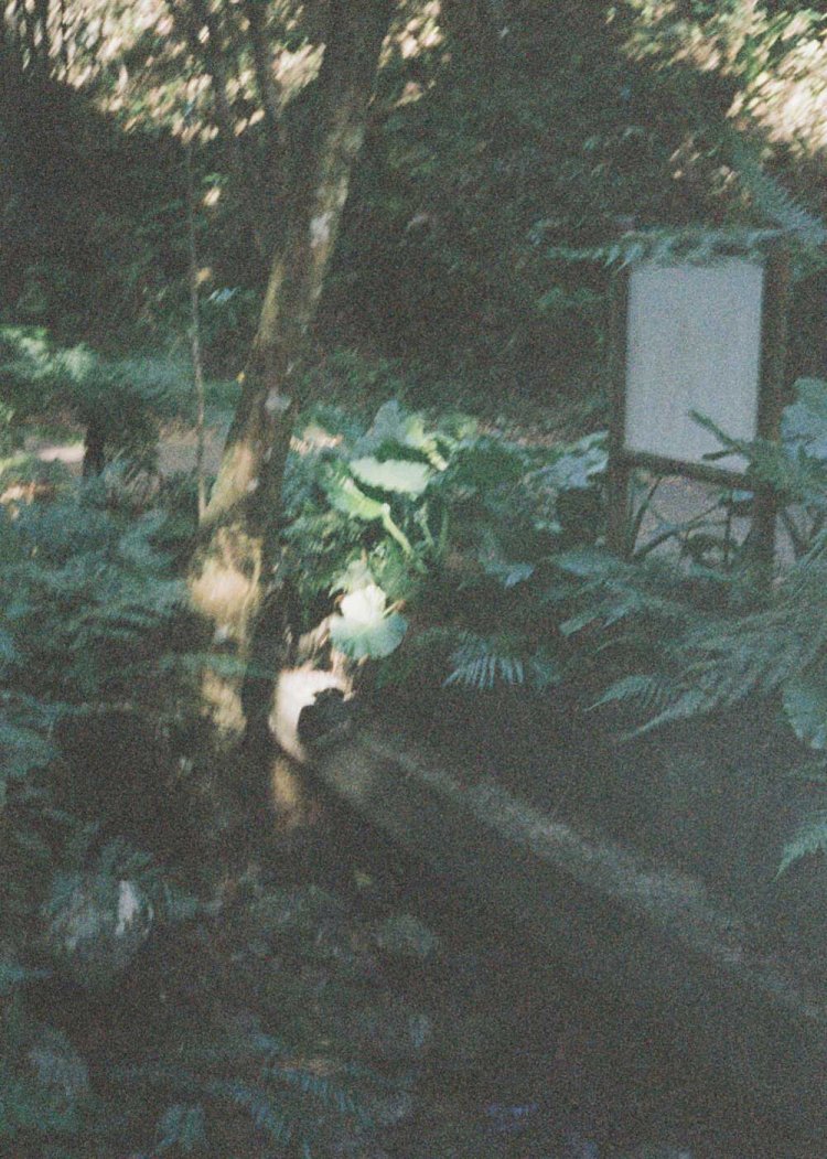 【camell】PENTAX17レビュー_30