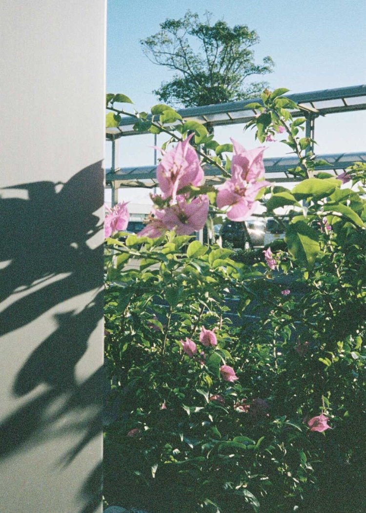 【camell】PENTAX17レビュー_34