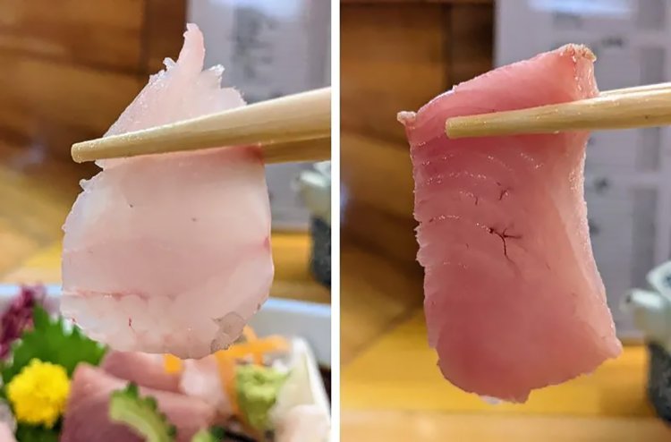 【酒場ナビ】割烹-魚仙_20