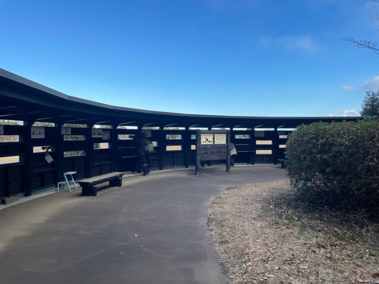 東園の東観察広場。