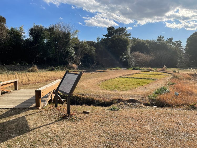 里山の環境を再現した「自然生態園」。
