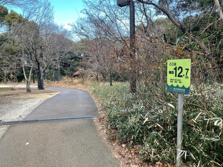 海抜12.7メートル。埋め立て地の中でも園内の標高は高い。