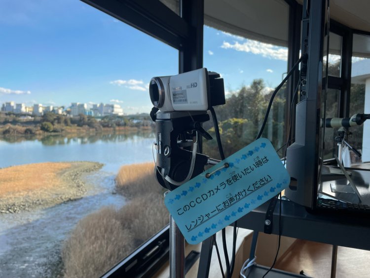 CCDカメラで遠くにいる鳥を見ることもできる。