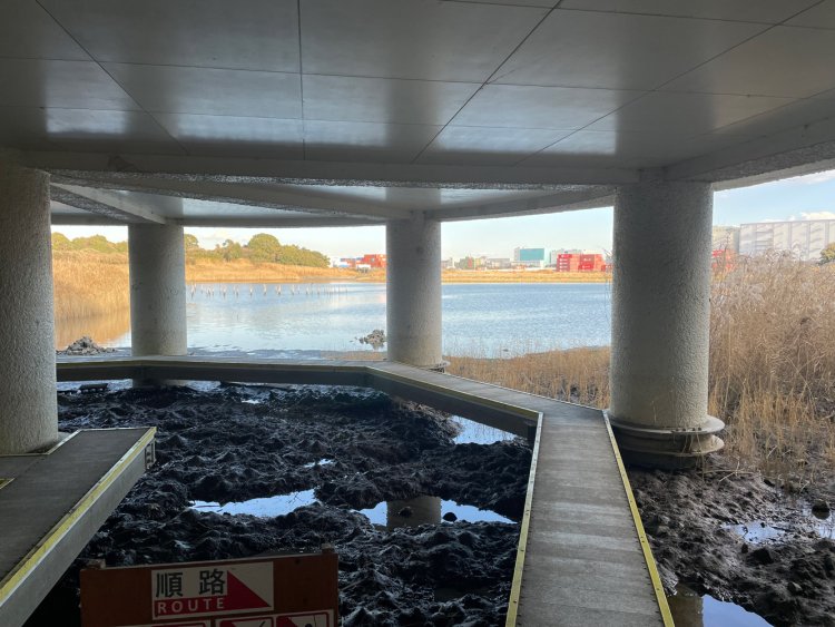 ネイチャーセンターB1階の干潟遊歩道「がた潟ウォーク」。