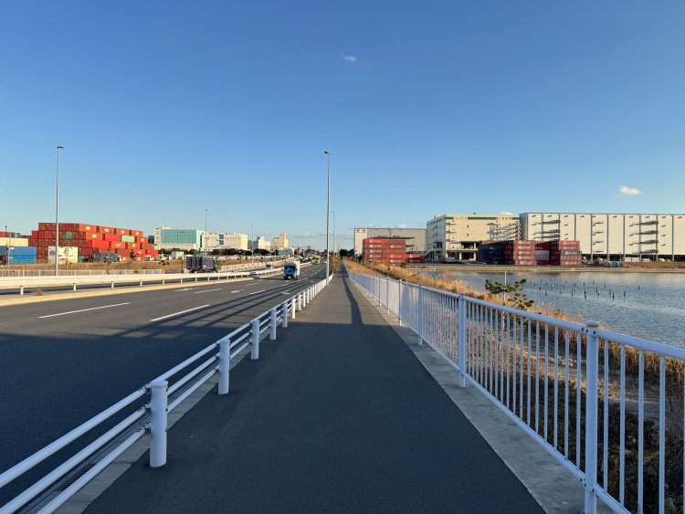 左手にコンテナバンプール、右手に東京港野鳥公園保護区。