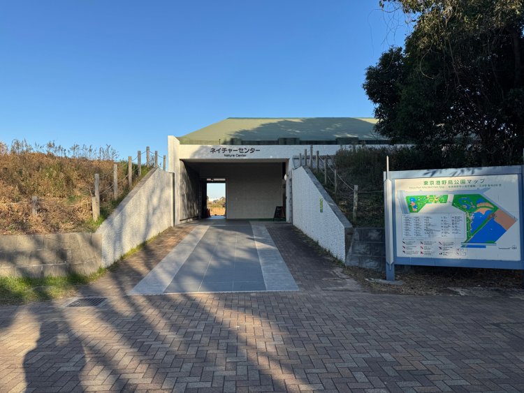 ネイチャーセンター。