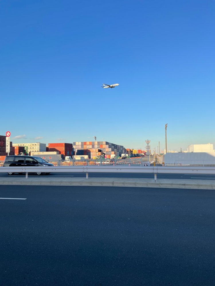 鳥よりも飛行機をたくさん見たかもしれない。