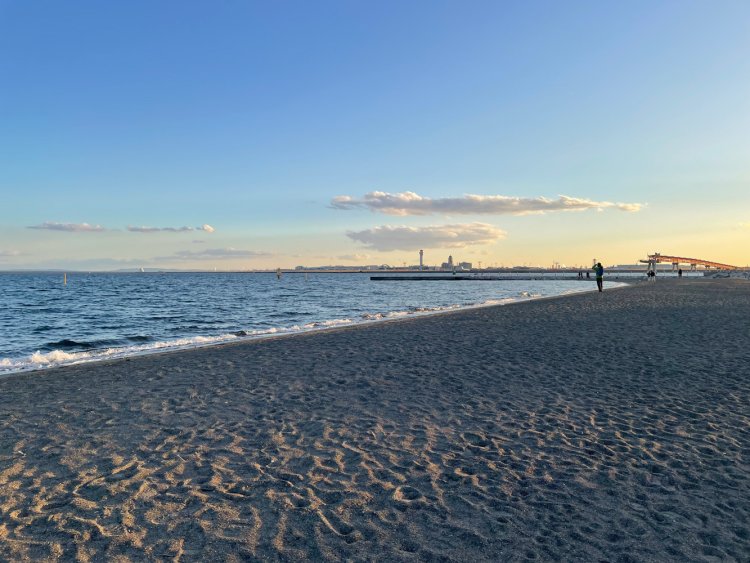 砂浜と羽田空港、写真右手には小さく川崎人工島と、その背後に房総半島が見える。