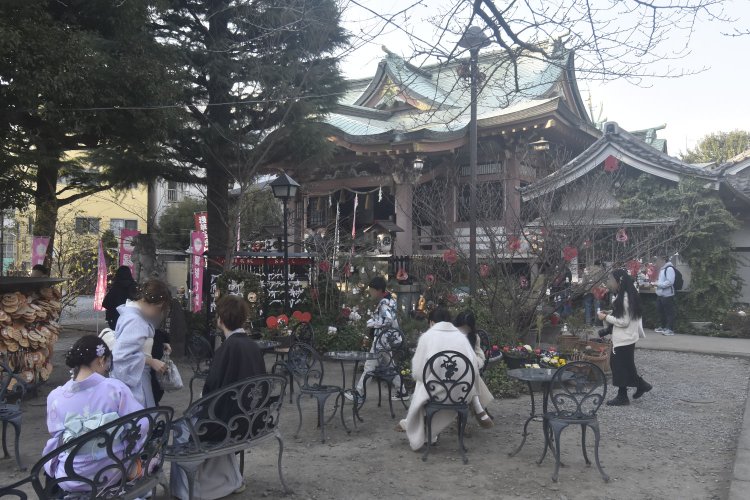 良縁を願う人の姿が絶えない今戸神社。丸い絵馬がたくさん納められている。