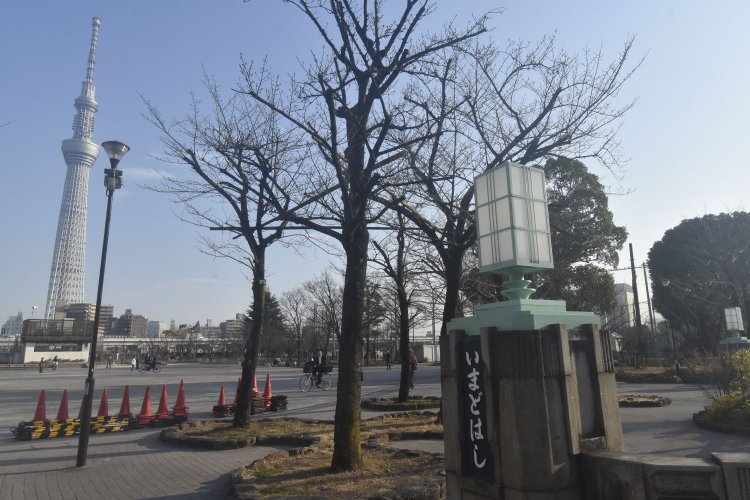 今戸橋があった場所は、スカイツリーのビュースポットでもある。