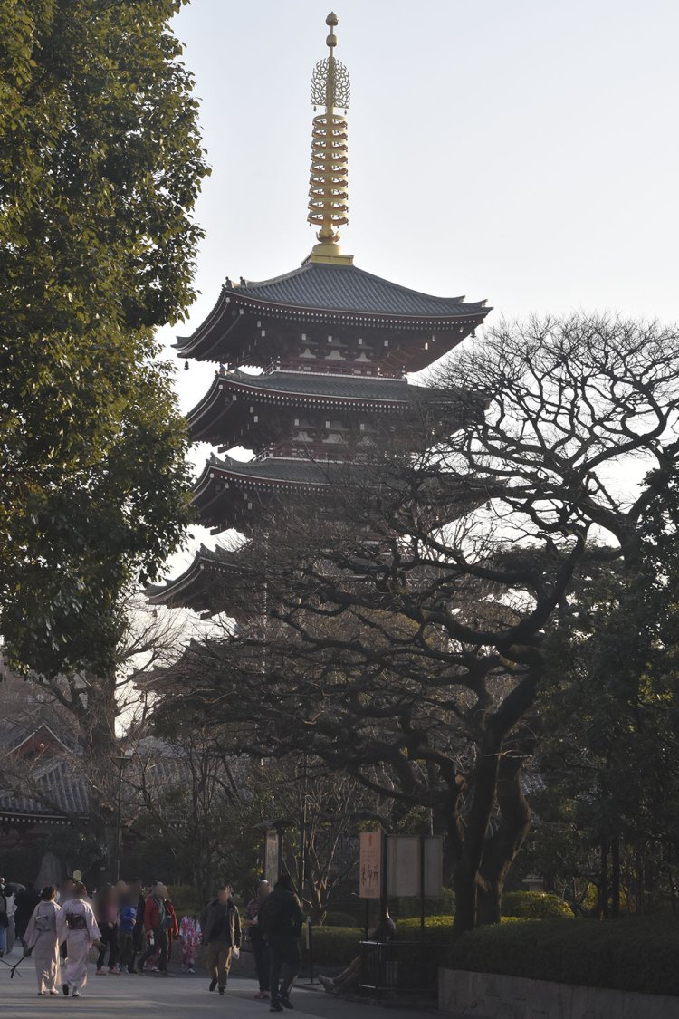 浅草寺の五重塔を眺めつつ、大河ドラマ館前を通って今回は帰路に着く。