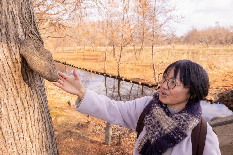 「樹木は分からないことがいっぱいあるから面白い！」。