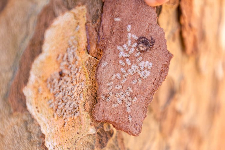 思わずゾワッ！