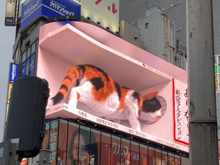 「新宿東口の猫」。しばらく眺めていると登場するが、ビルの真下を待ち合わせ場所にしてしまうと肝心の猫が見えないというジレンマに陥る。
