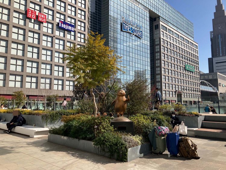 新しい待ち合わせスポットとして設置されたSuicaのペンギン像であるが、ペンギン前というより周辺の座れる段差に集まる人が多いようだ。