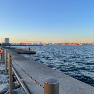 砂浜に海苔、野鳥とコンテナと飛行機と。大田区・平和島～城南島の海辺をゆく【「水と歩く」を歩く】