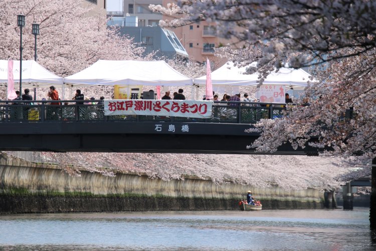 門前仲町周辺の水辺で和船に乗って花見を楽しむ「お江戸深川さくらまつり」が3月22日～4月6日に開催！