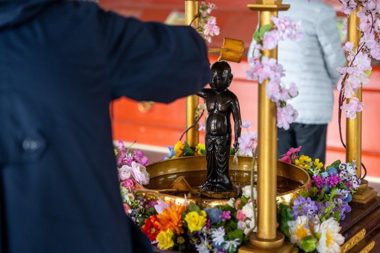 華やかな花御堂に安置された誕生仏に甘茶をかける。