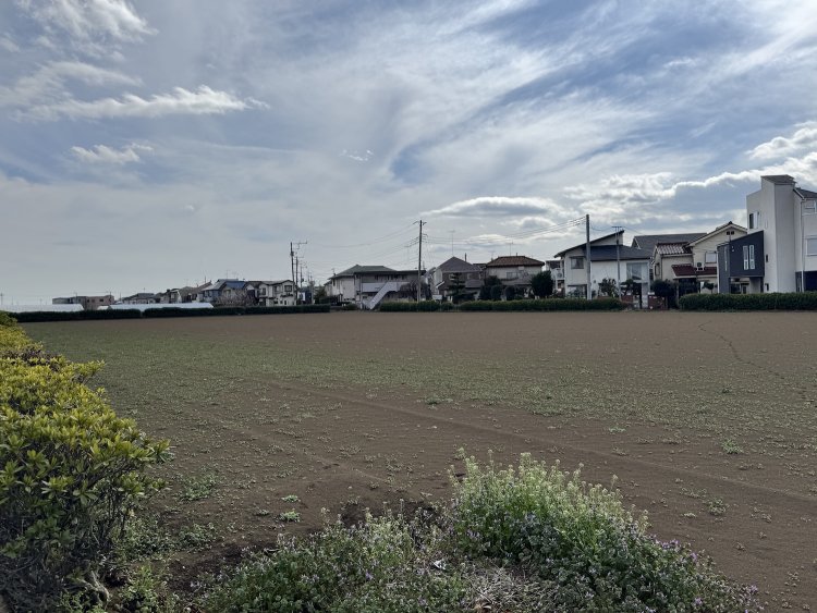 畑が広がるのどかな風景。