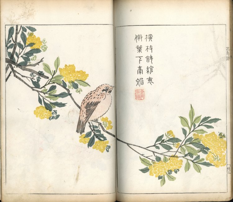 王概（編）『芥子園画伝』（和刻）　宝暦3年（1753）木版多色摺。