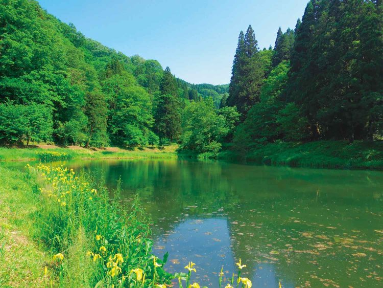 写真＝金沢市。