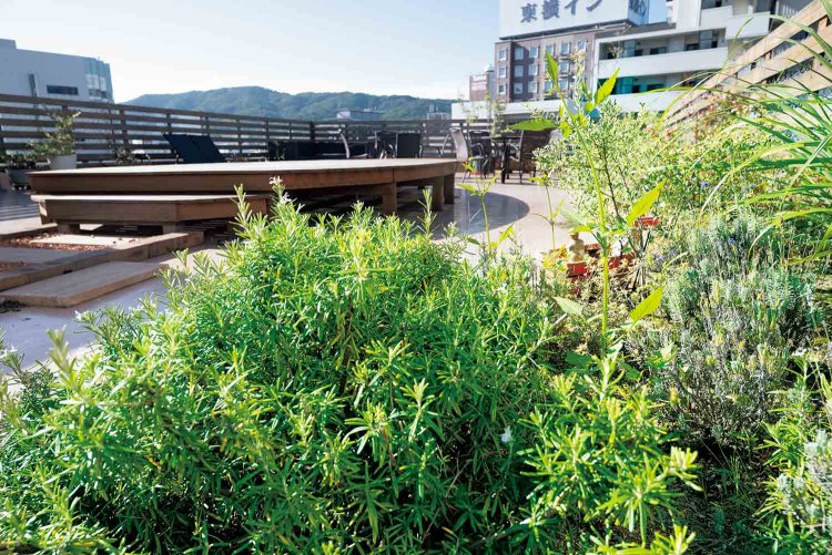 屋上のハーブ園でのんびり。