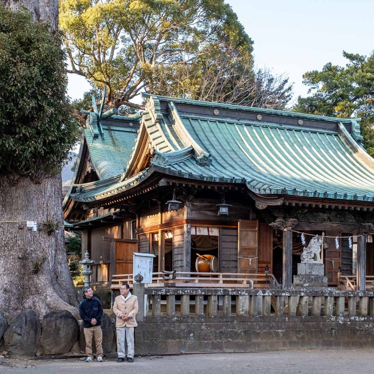 御神木のクスノキの前に立つ氏子総代の稲村康弘さんと山田秀明さん。