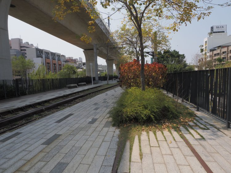 レールはわざと緑で覆われていた。レールが途切れてしまったのかな？と思ったが、ずっと続いている。