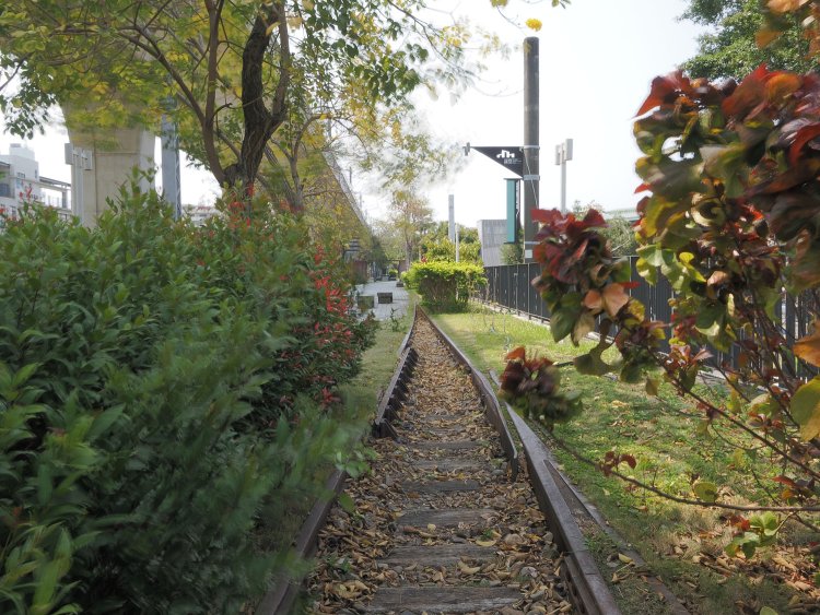 レールが緑に覆われていく。時の経過とともにレールが埋もれていき、自然の一部となっていくことだろう。