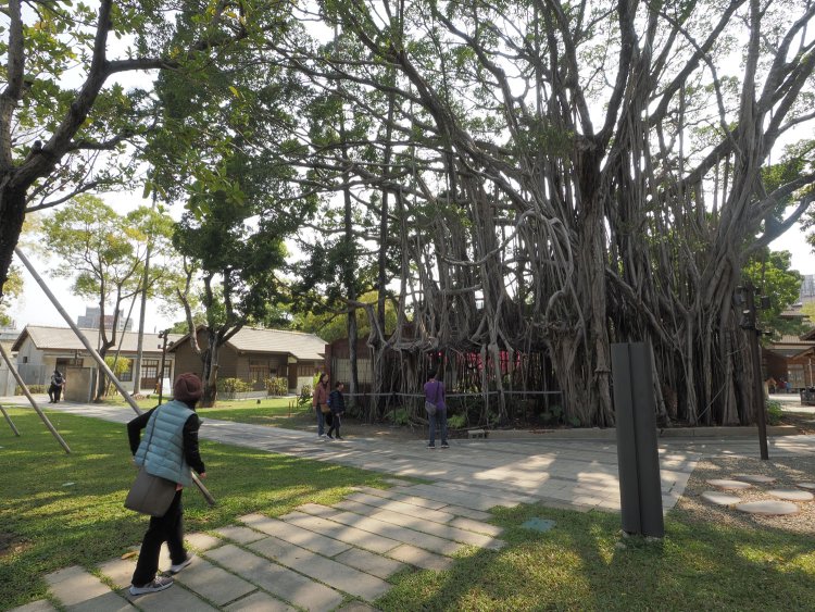 菩提樹の裏側に回る。見事に廃屋を覆いつくす姿に感動した。