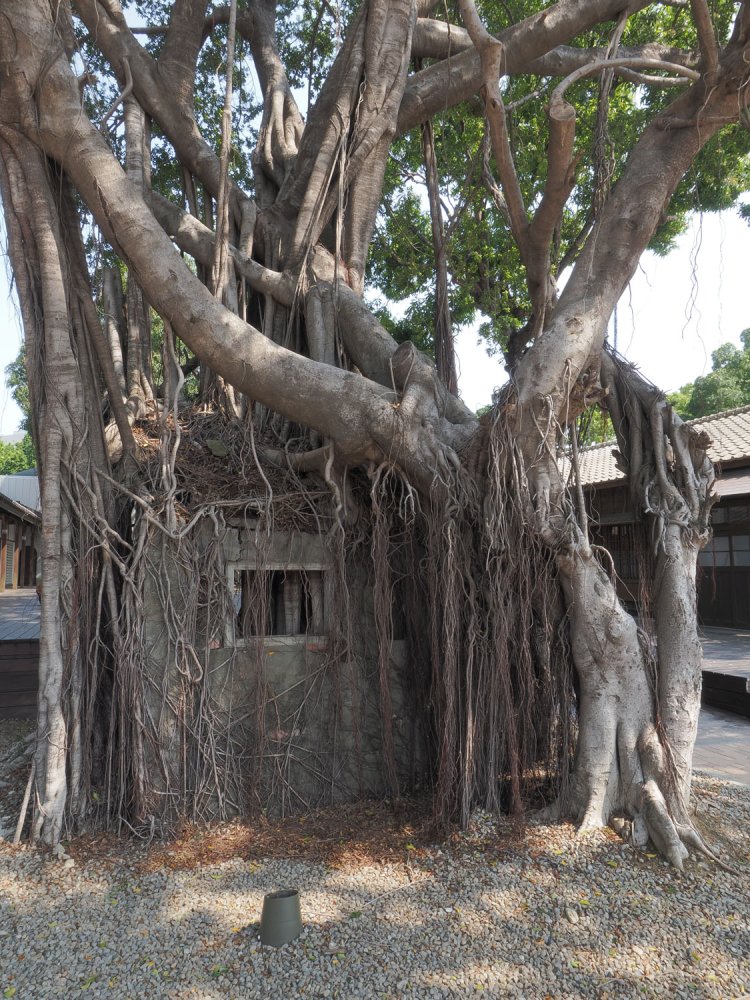 監視小屋はもう遺跡の出で立ちである。