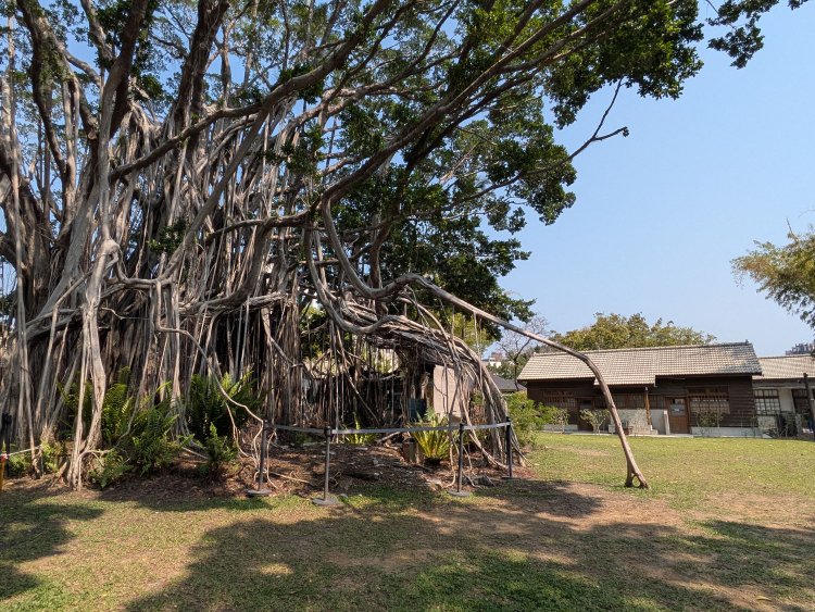 PXL_20250308_053626229