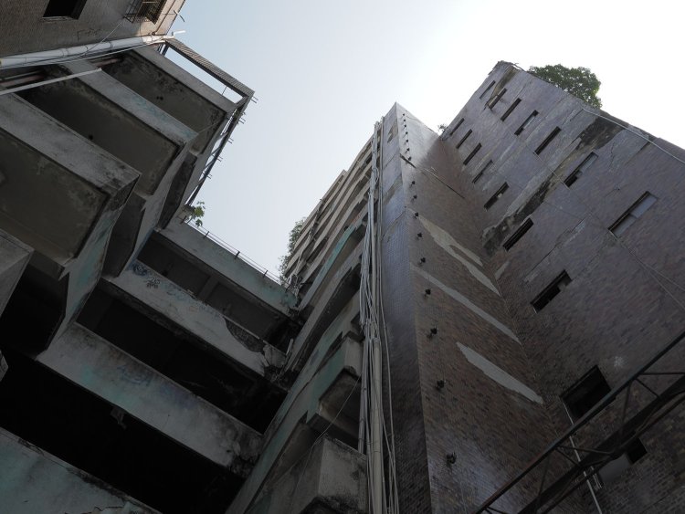 屋上付近に木が生えている。それもかなり立派な木だ。気になって仕方ないが立入禁止なので諦めよう。