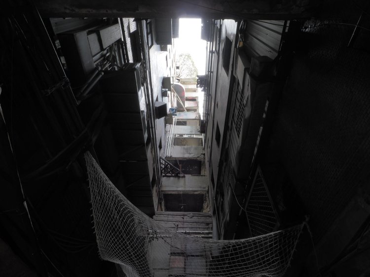 A棟とB棟の間から上を仰ぎ見ると、ここにも木の姿を確認できた。コンクリート構造物とはいえしっかりと根が張るのだろう。