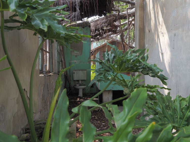 廃屋にはトイレが残されていた。生活空間は緑に没している。この光景は山中ではなく公園内にあるというのも不思議だった。