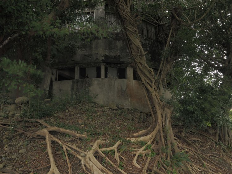 更衣室を兼ねていた建物は、半円状の形状をしていたらしい。木々に飲み込まれていた。