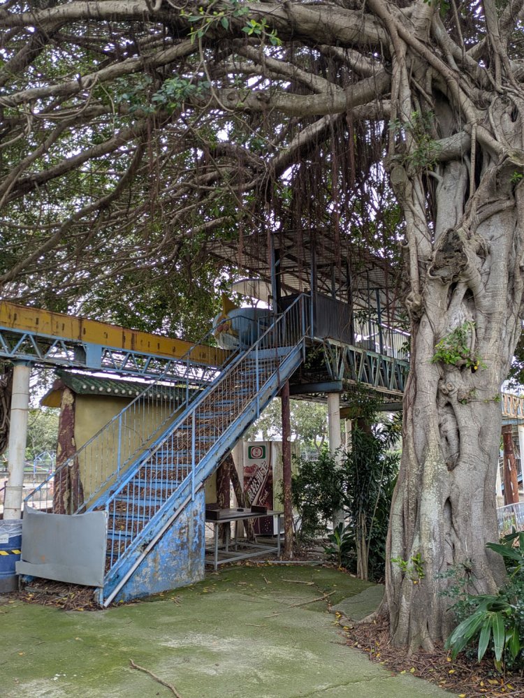 青空列車のホーム傍らは木が成長しきっており、高架ホームを覆いつくさんばかりに枝を伸ばしていた。