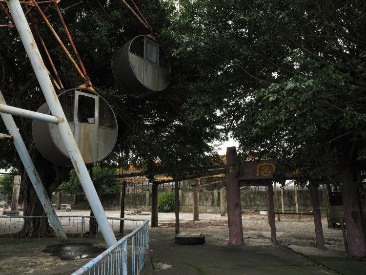 観覧車は成長する木々に飲み込まれていた。