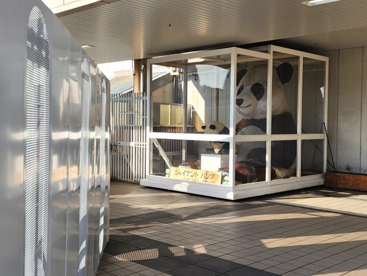 JR上野駅パンダ橋口には体調3ｍ超のパンダがお座り。工事中のフェンスに囲まれちょっと窮屈そう。